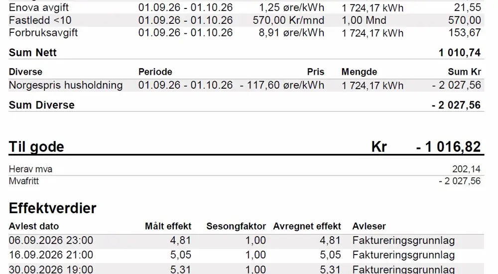 Nettleiefaktura_Griug.jpg