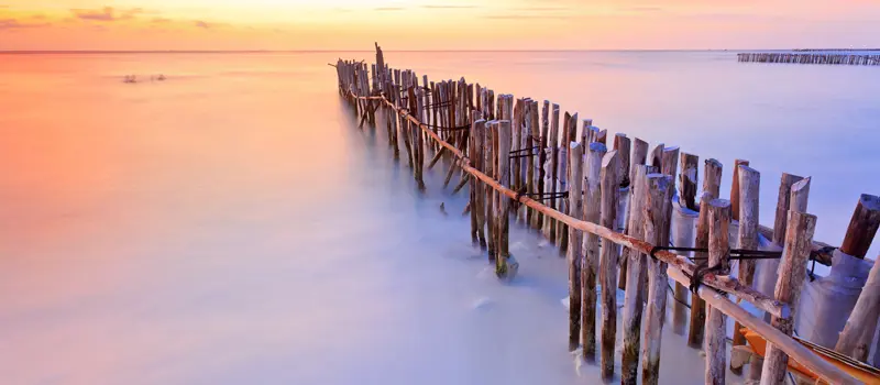 2E35262e A9ff 43A9 Ba6a 888B5c2f6a60 5