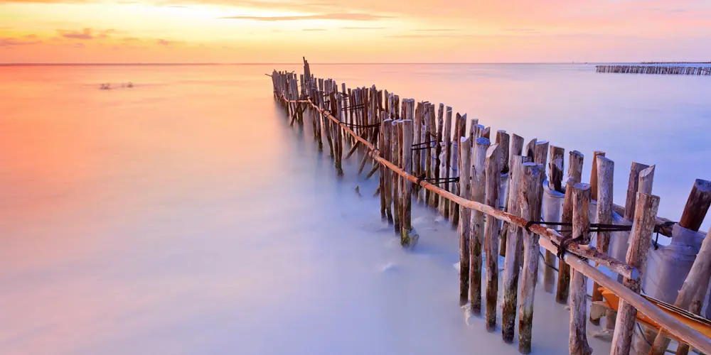 2E35262e A9ff 43A9 Ba6a 888B5c2f6a60 5