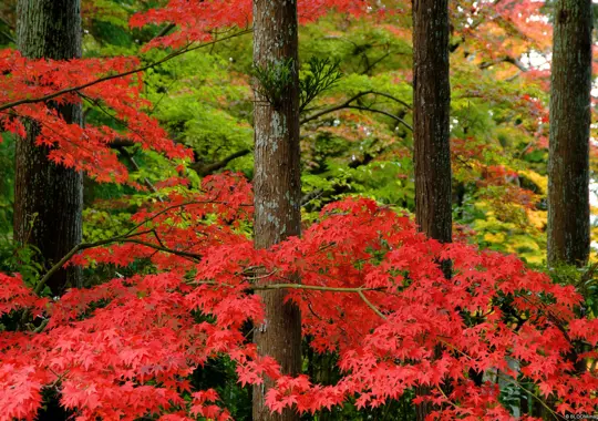 0Cd97b8e F23f 4884 Bc87 0Ef4cada2cc0 5